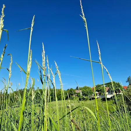 Al Capone Apartment *