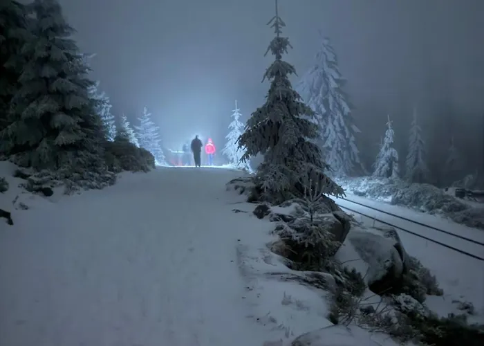 Al Capone 圣安德里斯伯格